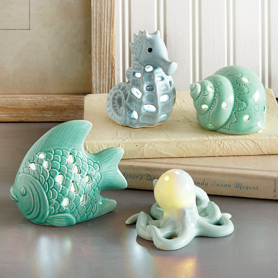 Beach & Ocean Accessories