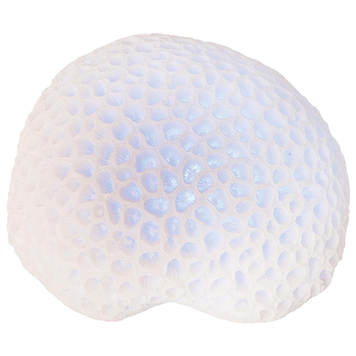 White Coral LED Figurine