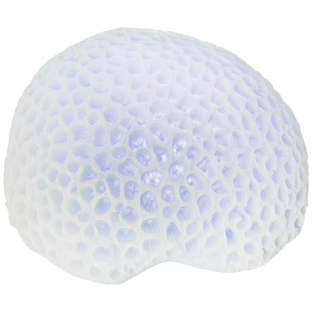 Blue Coral LED Figurine