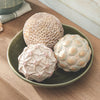 Starfish Reef Decorative Ball