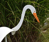 Dancing Outdoor Egret
