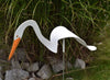 Dancing Outdoor Egret