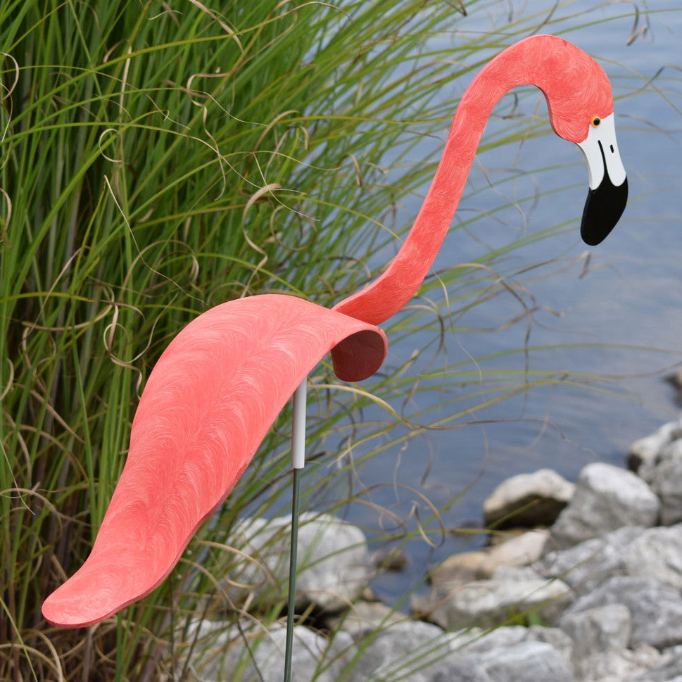 Dancing Outdoor Flamingo