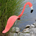Dancing Outdoor Flamingo