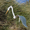 Dancing Outdoor Heron