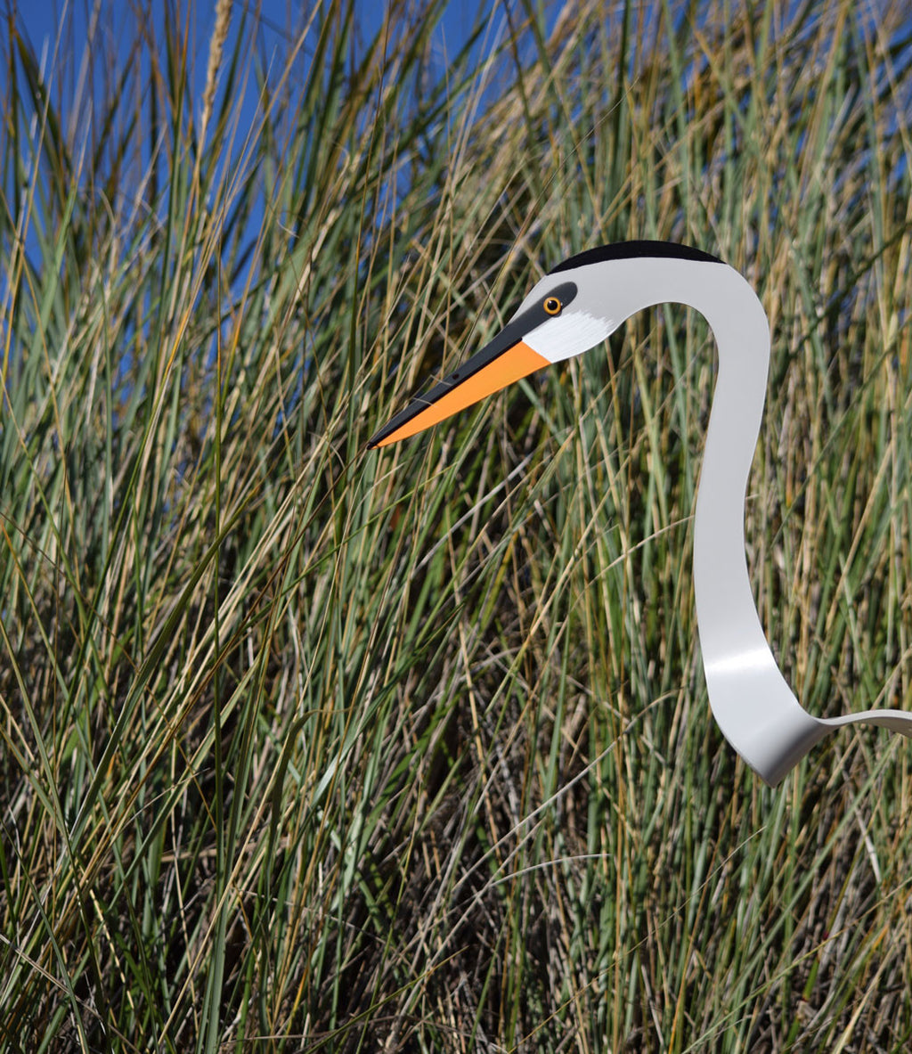 Dancing Outdoor Heron