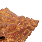 Shoreline Shell Sculpture