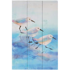 Shorebird Stroll Wall Art