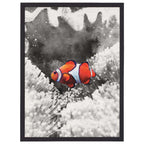 Coral Clown Wall Art