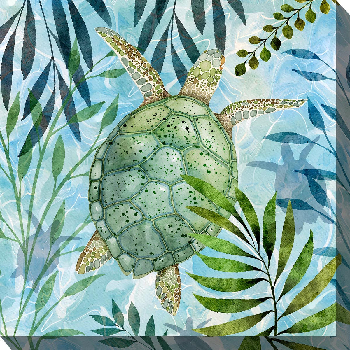 Turtle in Kelp Outdoor Wall Art
