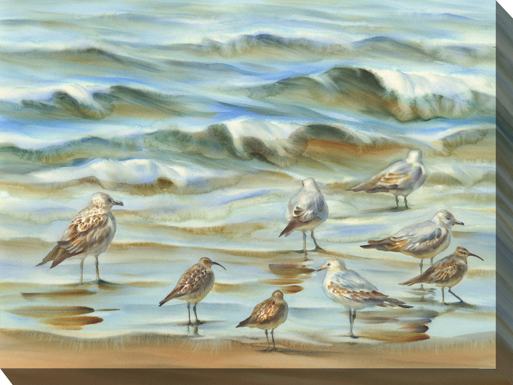 Sand Piper Shore Outdoor Wall Art