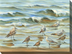 Sand Piper Shore Outdoor Wall Art