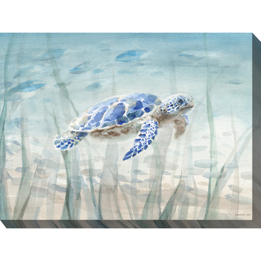 Blue Turtle Outdoor Wall Art