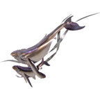 Humpback with Calf Stainless Steel Wall Decor