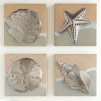 Starfish Sea Treasure Metal Wall Art - OVERSTOCK