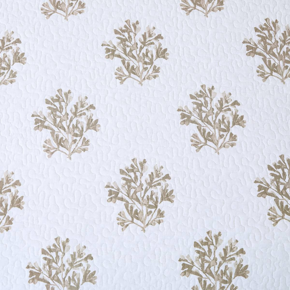 Abundant Shells Quilt Bedding Collection