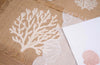 Reefline Placemats - Set of 6