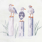 Seagull Stakeout Guest Towels - Set of 2