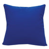 Oceanic Sea Urchin Indoor/Outdoor Pillow