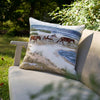 Beach Trotters Pillow