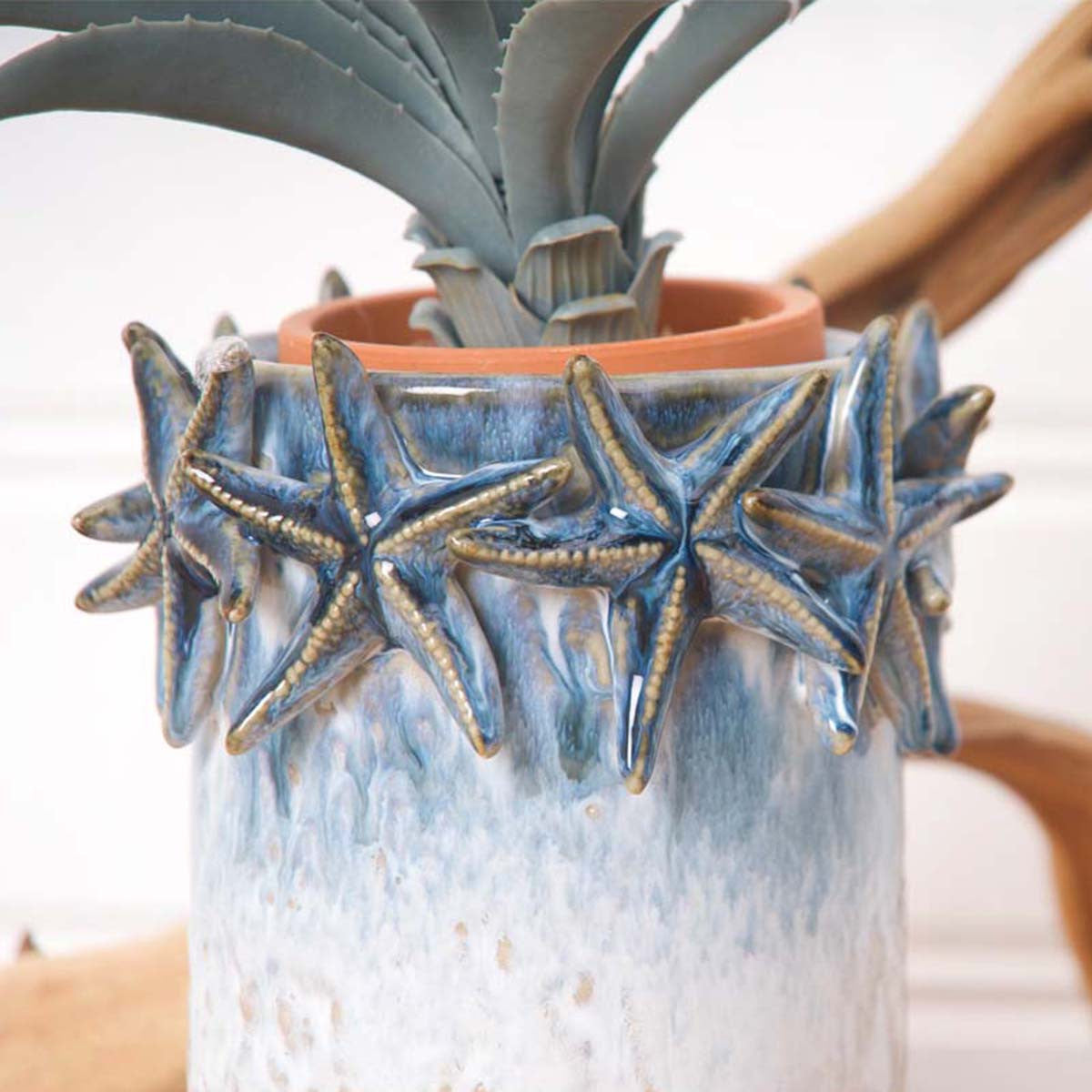 Sea the Stars Container