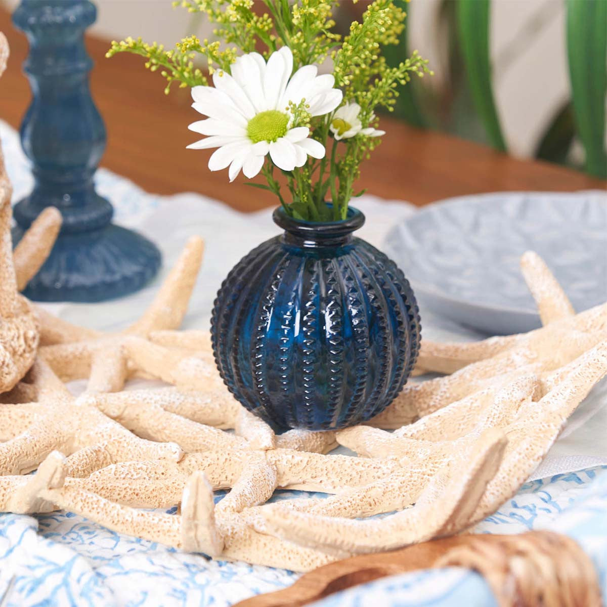 Coastal Constellation Decorative Plate