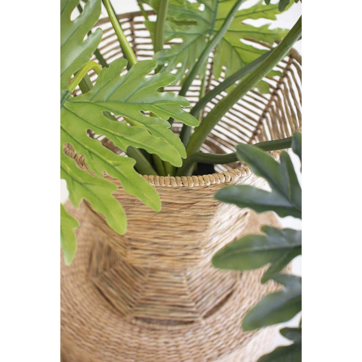 Samoan Seas Seagrass Planter - OUT OF STOCK UNTIL 08/05/2026