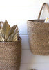 Beach Bound Hanging Baskets - Set of 2