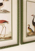 Birds of a Feather Wall Art - Set of 2