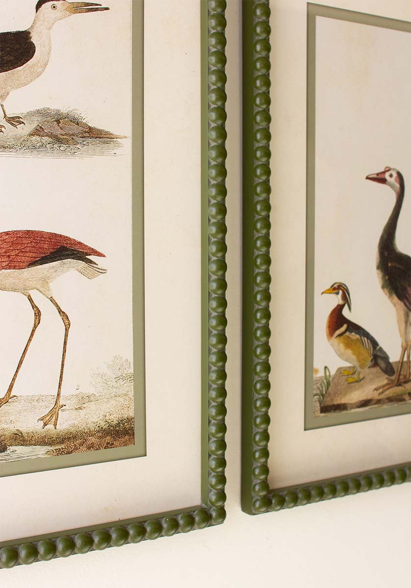 Birds of a Feather Wall Art - Set of 2