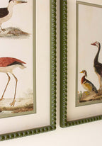 Birds of a Feather Wall Art - Set of 2