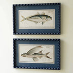 Chart House Fish Wall Art - Set of 2