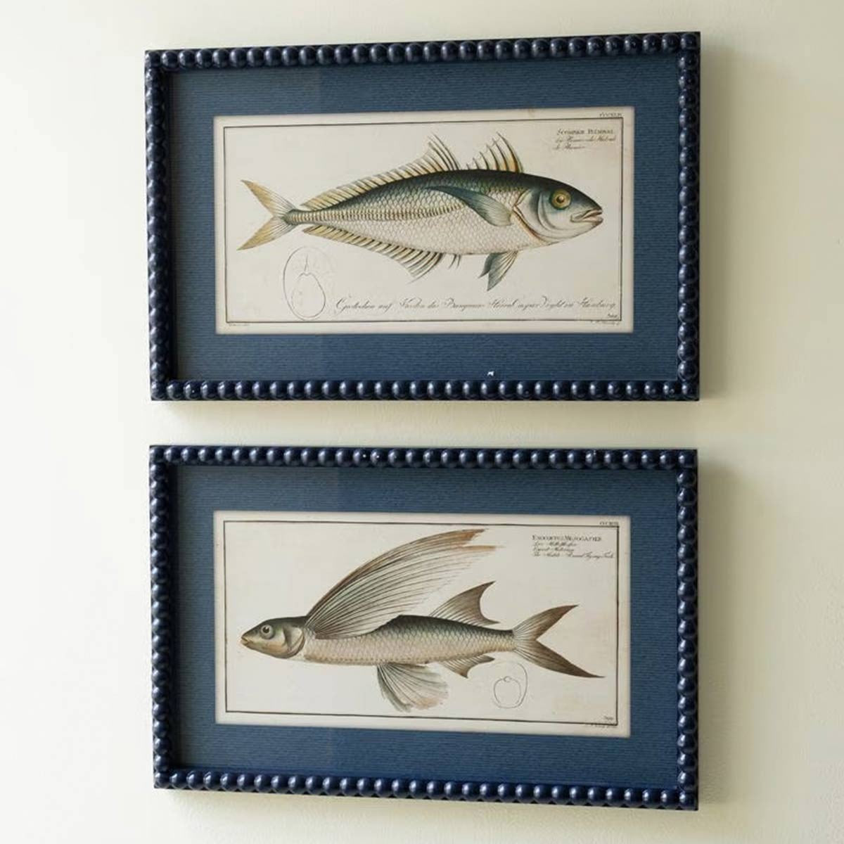 Chart House Fish Wall Art - Set of 2