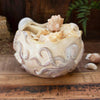 Seven Seas Octopus Vase