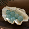 West Indies Clam Shell Sculpture