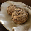 West Indies Clam Shell Sculpture