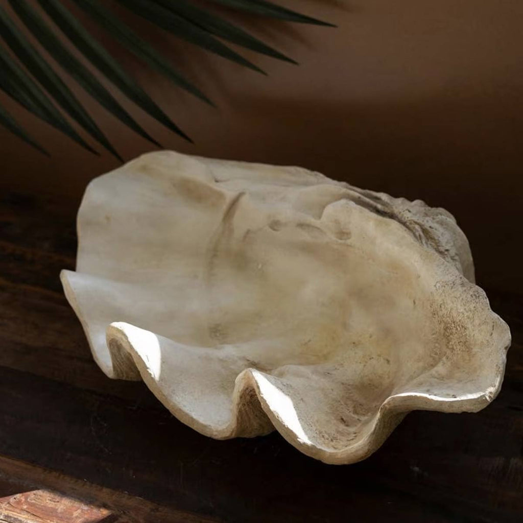 West Indies Clam Shell Sculpture