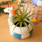 Pool Party Ceramic Vases - Set of 2