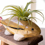 Reel Cute Ceramic Vases/Candle Holders - Set of 2