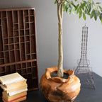 Native Tropics Teak Urn - OUT OF STOCK UNTIL 07/08/2026