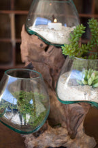 Teakwood Tiered Glass Planter - OUT OF STOCK UNTIL 07/14/2026