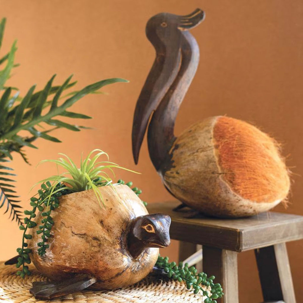 Molokai Coco Turtle Planter