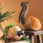 Molokai Coco Turtle Planter