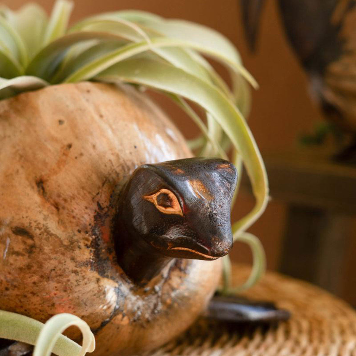 Molokai Coco Turtle Planter