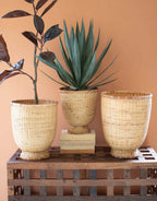 Coast Cane Baskets - Set of 3