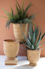 Coast Cane Baskets - Set of 3