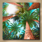 Palm Canopy Personalized Stretched Canvas Art