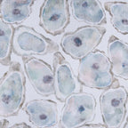 Oyster Cove Placemats - Set of 4