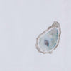 Oyster Cove Napkins - Set of 4