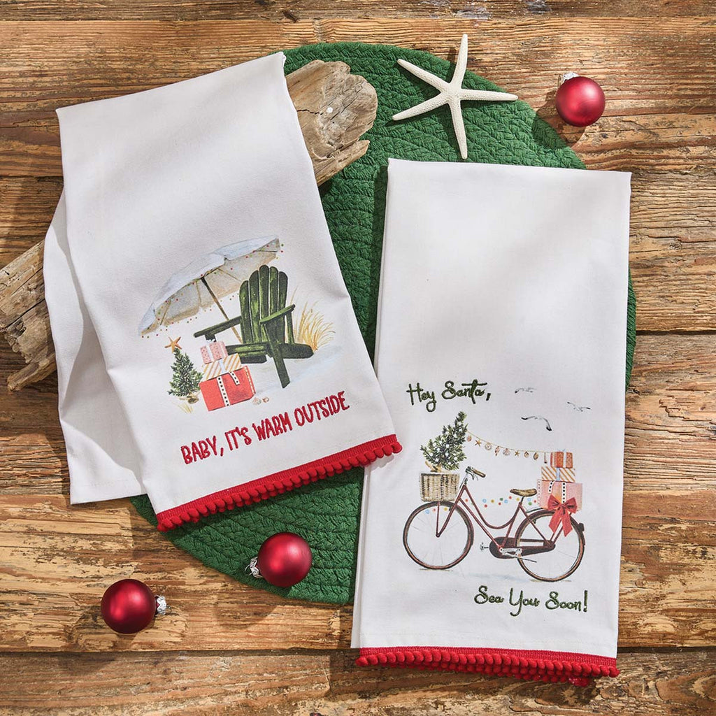 Cozy Winter Dishtowels - Set of 4
